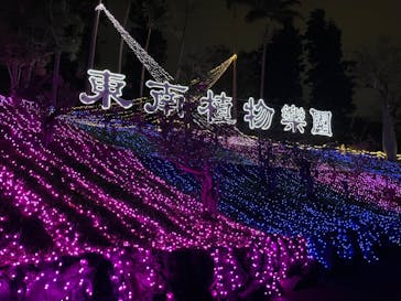 美らヤシパークオキナワ・東南植物楽園に投稿された画像（2021/12/25）