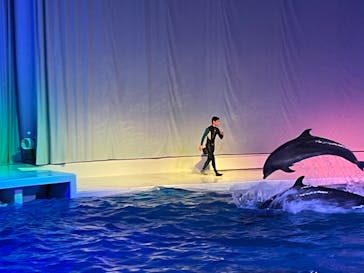 アクアワールド茨城県大洗水族館に投稿された画像（2021/12/25）