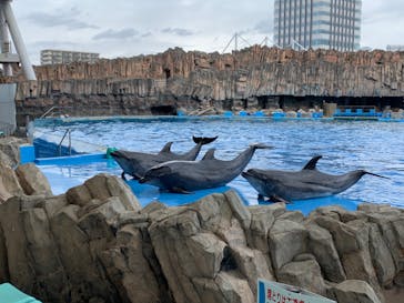 名古屋港水族館に投稿された画像（2021/12/25）