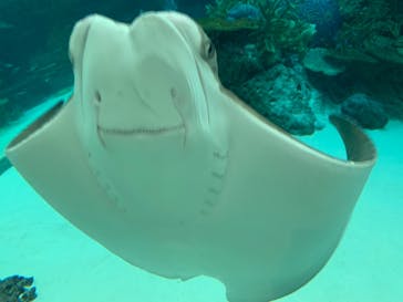 名古屋港水族館に投稿された画像（2021/12/25）