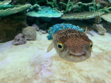 名古屋港水族館に投稿された画像（2021/12/25）