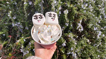 ひらかたパークに投稿された画像（2021/12/25）