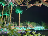 美らヤシパークオキナワ・東南植物楽園に投稿された画像（2021/12/25）