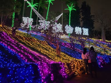 美らヤシパークオキナワ・東南植物楽園に投稿された画像（2021/12/25）