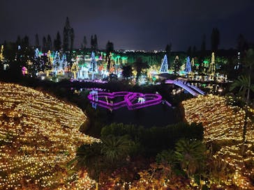 美らヤシパークオキナワ・東南植物楽園に投稿された画像（2021/12/25）