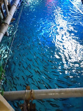 南知多ビーチランド＆南知多おもちゃ王国に投稿された画像（2021/12/25）