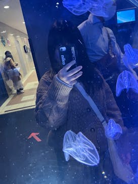 名古屋港水族館に投稿された画像（2021/12/25）