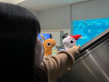 名古屋港水族館に投稿された画像（2021/12/25）