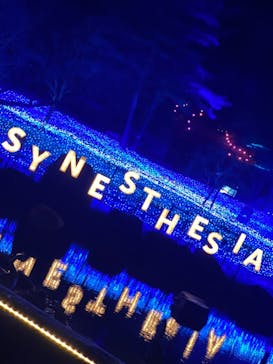 KYOTO ILLUMINATION SYNESTHESIA HILLS るり渓温泉に投稿された画像（2021/12/25）