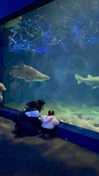 アクアワールド茨城県大洗水族館に投稿された画像（2021/12/25）