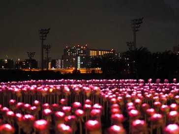 東京メガイルミに投稿された画像（2021/12/25）
