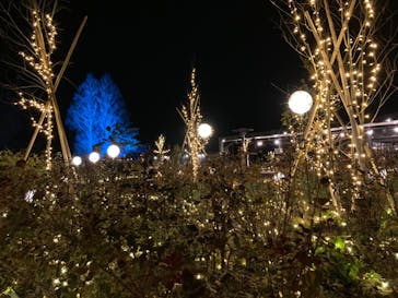 いばらきフラワーパークに投稿された画像（2021/12/25）