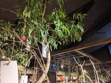 いばらきフラワーパークに投稿された画像（2021/12/25）