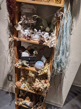 いばらきフラワーパークに投稿された画像（2021/12/25）