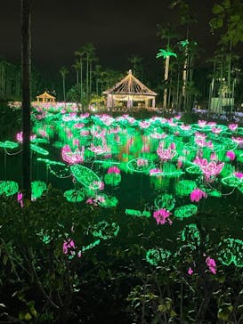 美らヤシパークオキナワ・東南植物楽園に投稿された画像（2021/12/25）