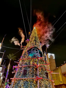 ひらかたパークに投稿された画像（2021/12/25）