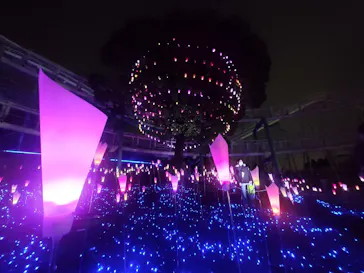 ひらかたパークに投稿された画像（2021/12/25）