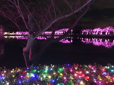 東武動物公園に投稿された画像（2021/12/25）