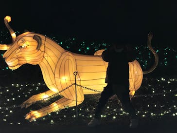 東武動物公園に投稿された画像（2021/12/25）