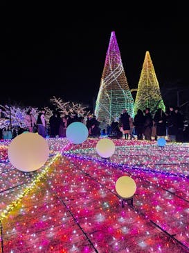 よみうりランド 遊園地に投稿された画像（2021/12/25）