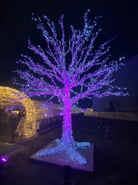 東京メガイルミに投稿された画像（2021/12/25）