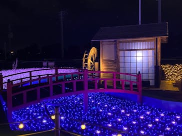 東京メガイルミに投稿された画像（2021/12/25）