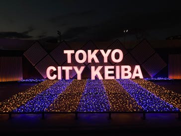 東京メガイルミに投稿された画像（2021/12/25）