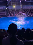 マクセル アクアパーク品川に投稿された画像（2021/12/26）