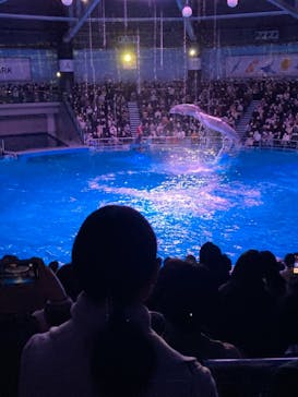 マクセル アクアパーク品川に投稿された画像（2021/12/25）