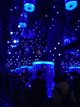 マクセル アクアパーク品川に投稿された画像（2021/12/25）