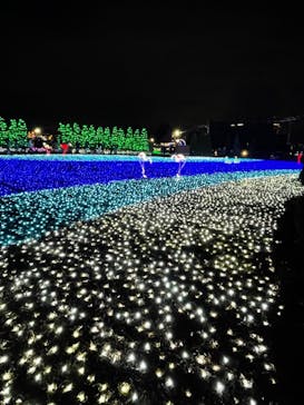 東武動物公園に投稿された画像（2021/12/25）