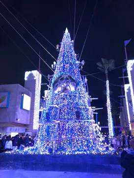 ひらかたパークに投稿された画像（2021/12/25）