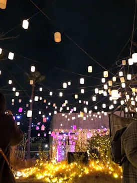 ひらかたパークに投稿された画像（2021/12/25）