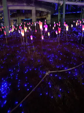 ひらかたパークに投稿された画像（2021/12/25）