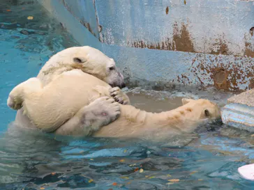 天王寺動物園に投稿された画像（2021/12/25）
