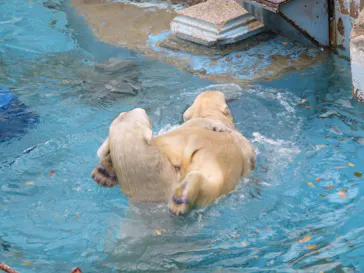 天王寺動物園に投稿された画像（2021/12/25）