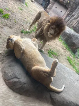 天王寺動物園に投稿された画像（2021/12/25）