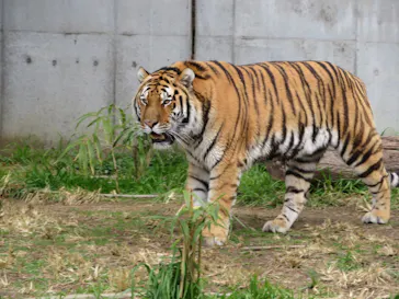 天王寺動物園に投稿された画像（2021/12/25）
