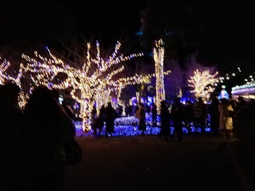 江の島シーキャンドルに投稿された画像（2021/12/25）