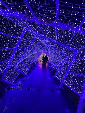 KYOTO ILLUMINATION SYNESTHESIA HILLS るり渓温泉に投稿された画像（2021/12/25）