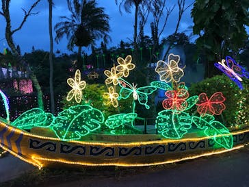 美らヤシパークオキナワ・東南植物楽園に投稿された画像（2021/12/25）