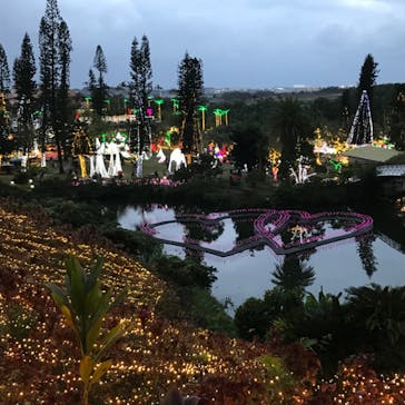 美らヤシパークオキナワ・東南植物楽園に投稿された画像（2021/12/25）