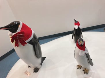 名古屋港水族館に投稿された画像（2021/12/26）