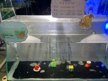 名古屋港水族館に投稿された画像（2021/12/26）