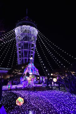 江の島シーキャンドルに投稿された画像（2021/12/26）