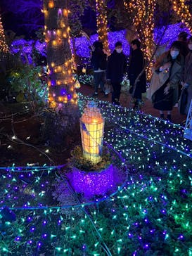 江の島シーキャンドルに投稿された画像（2021/12/26）