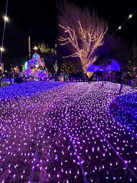 江の島シーキャンドルに投稿された画像（2021/12/26）