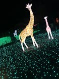 東武動物公園に投稿された画像（2021/12/26）