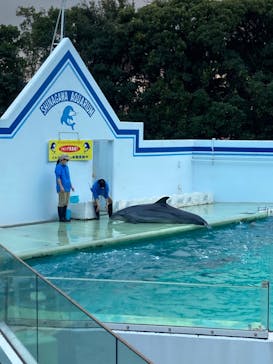 しながわ水族館に投稿された画像（2021/12/26）