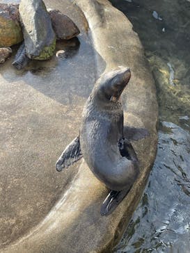 那須どうぶつ王国に投稿された画像（2021/12/26）